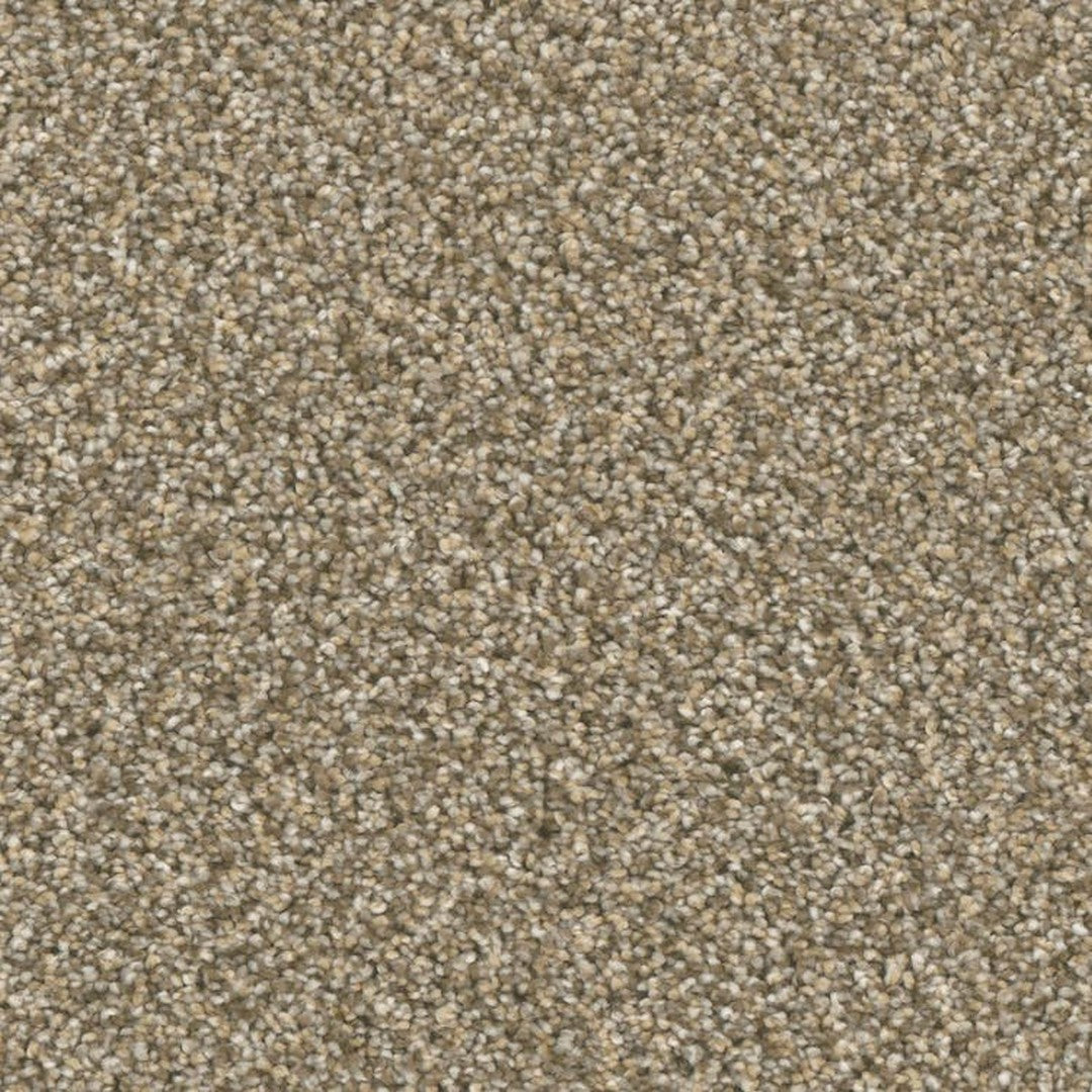 Phenix Microban Five Star 12' Polyester Carpet Tile