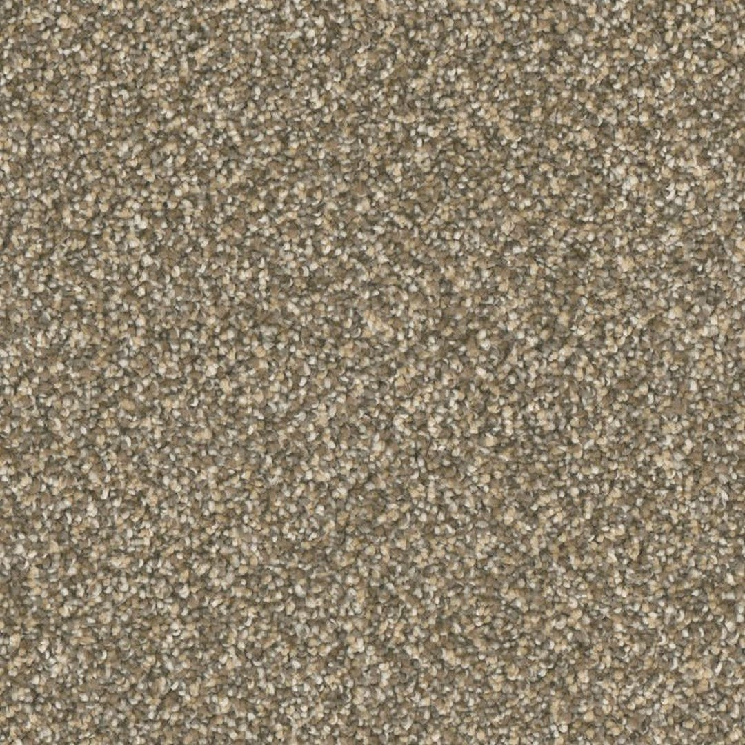 Phenix Microban Five Star 12' Polyester Carpet Tile