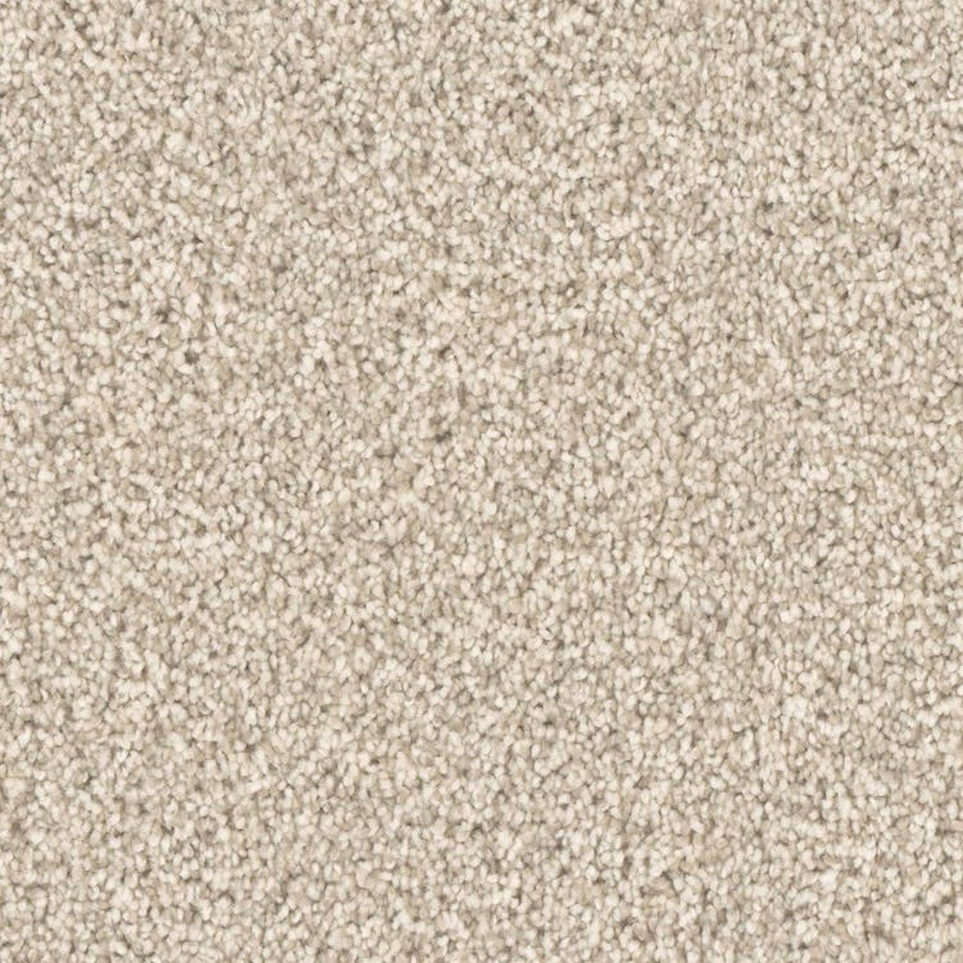 Phenix Microban Five Star 12' Polyester Carpet Tile