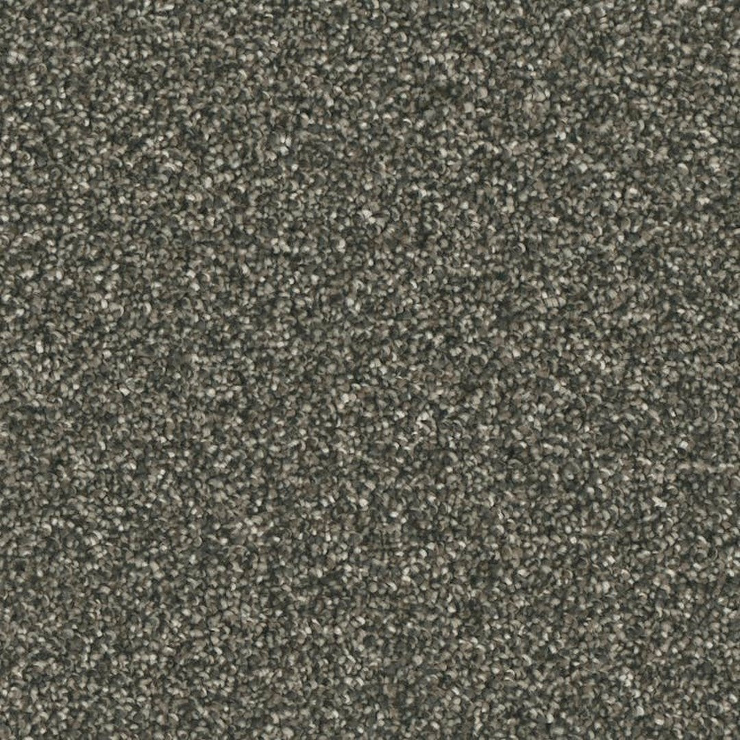 Phenix Microban Five Star 12' Polyester Carpet Tile