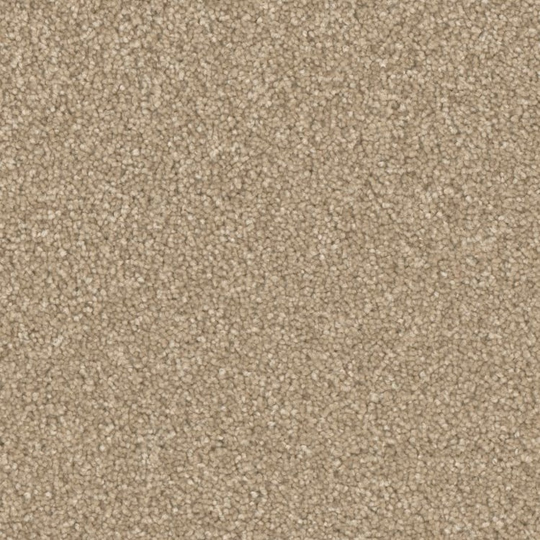 Phenix Microban Top Notch 12' Polyester Carpet Tile
