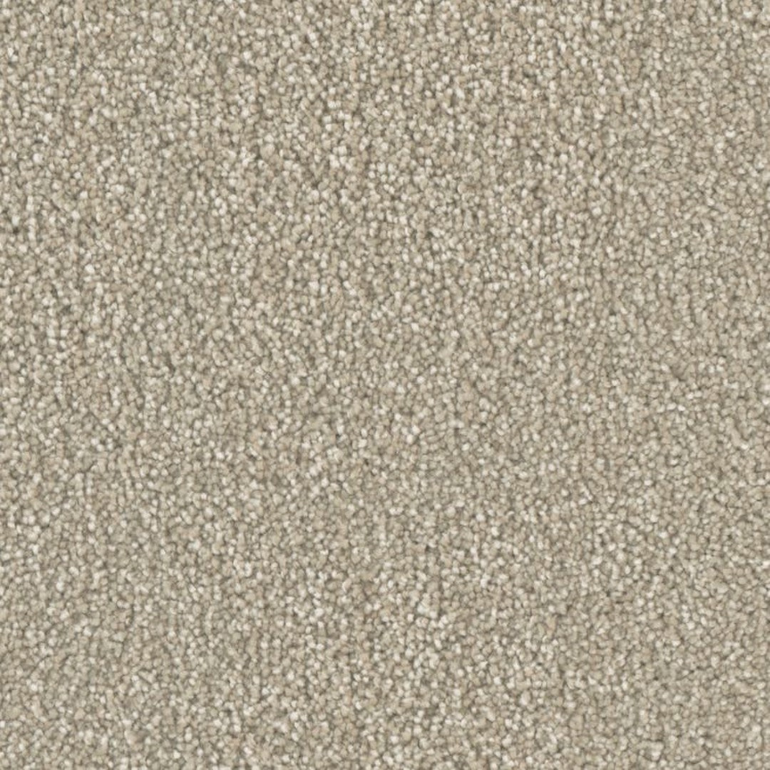 Phenix Microban Top Notch 12' Polyester Carpet Tile