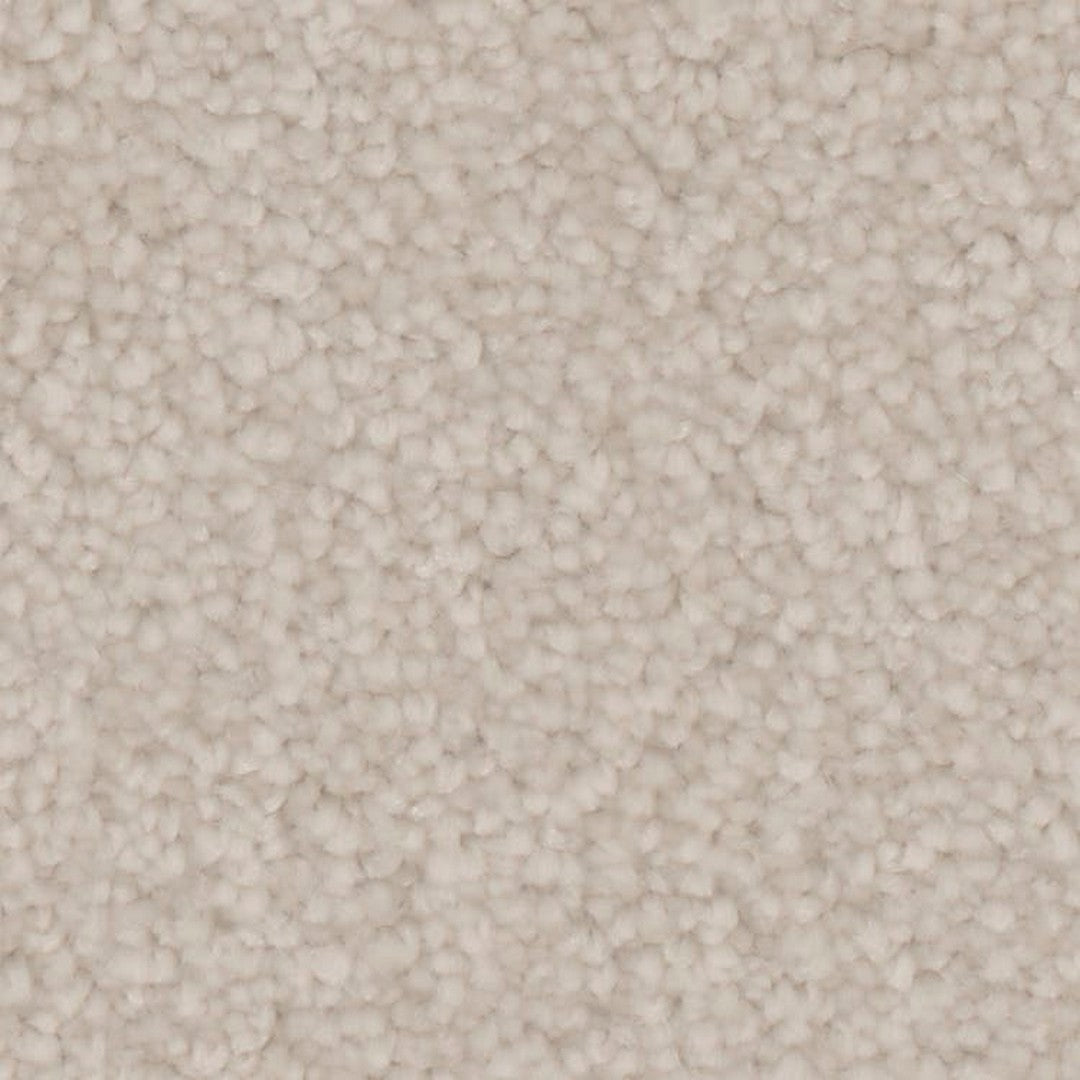 Phenix Microban Canvas I 12' Polyester Carpet Tile