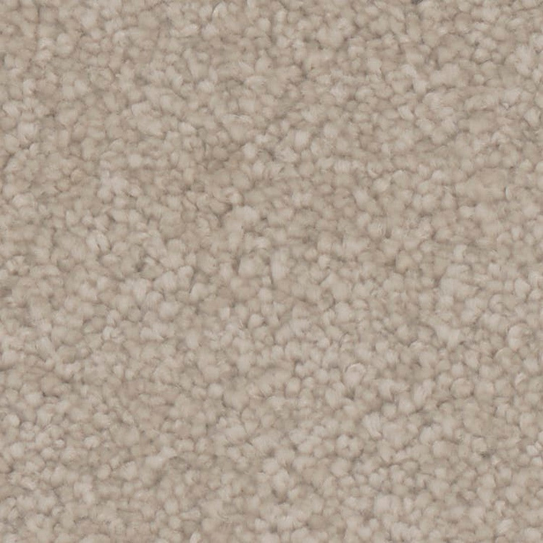 Phenix Microban Canvas II 12' Polyester Carpet Tile