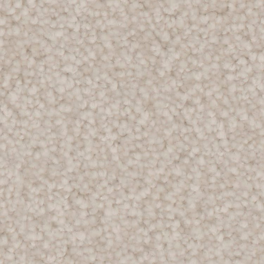 Phenix Microban Canvas II 12' Polyester Carpet Tile