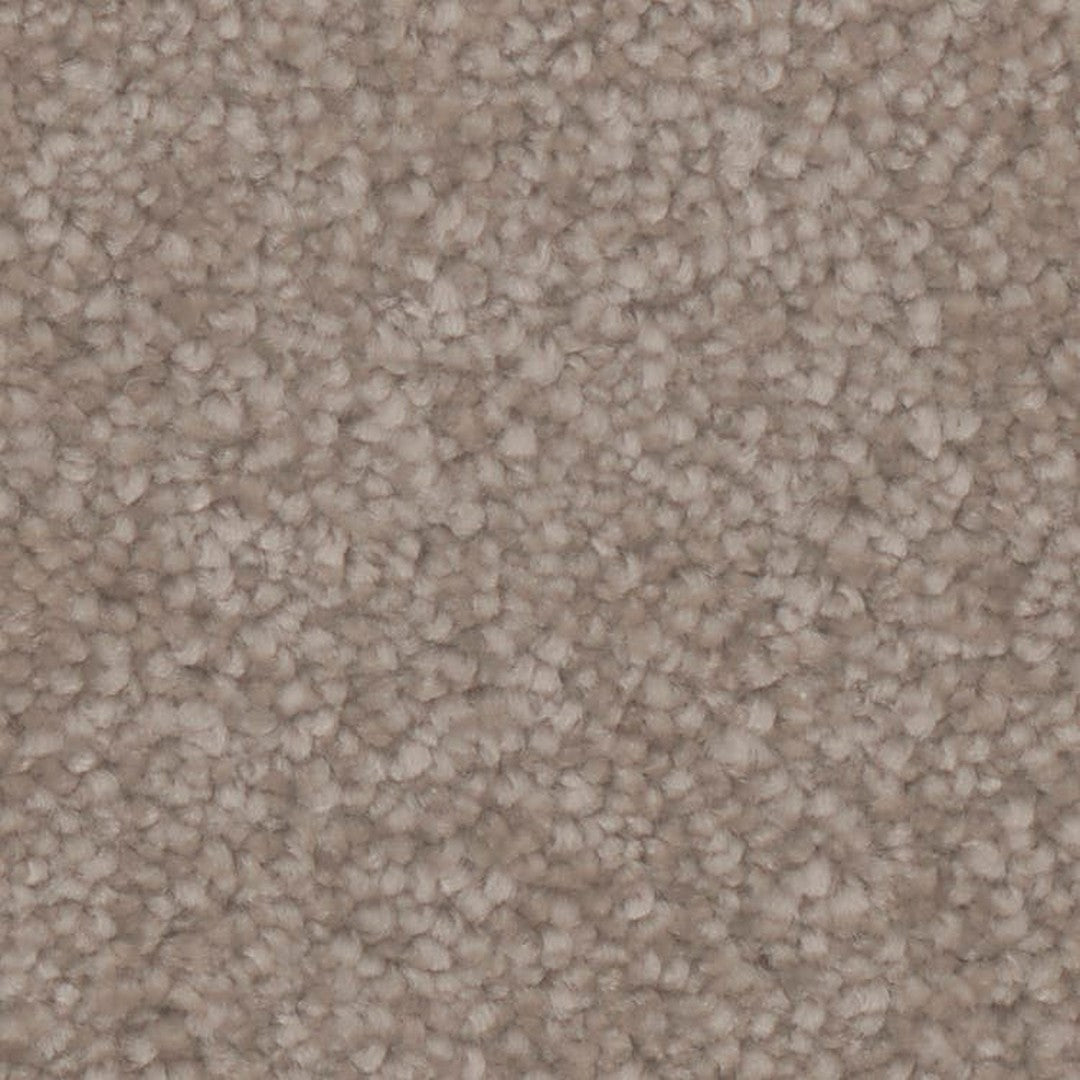 Phenix Microban Canvas II 12' Polyester Carpet Tile