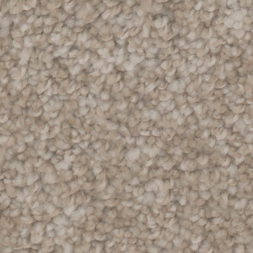 Phenix Microban Mirage I 12' Polyester Carpet Tile