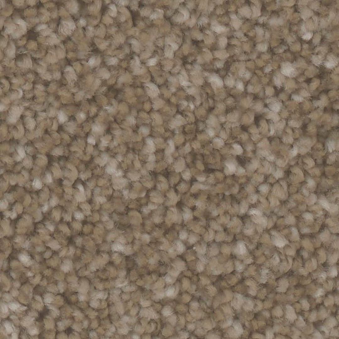 Phenix Microban Mirage I 12' Polyester Carpet Tile