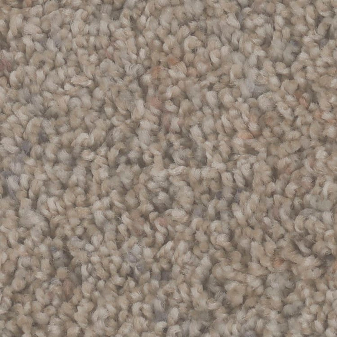 Phenix Microban Dolce 12' Polyester Carpet Tile