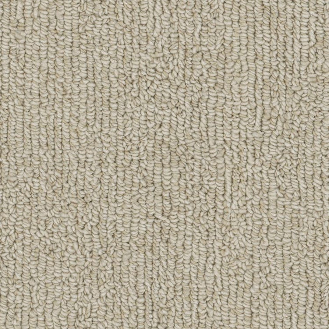 Phenix Microban Warp 12' Polyester Carpet Tile