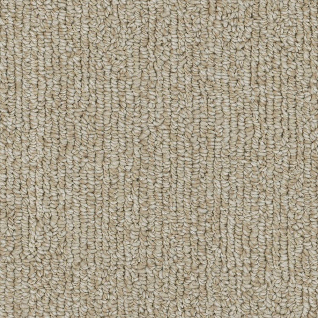 Phenix Microban Warp 12' Polyester Carpet Tile