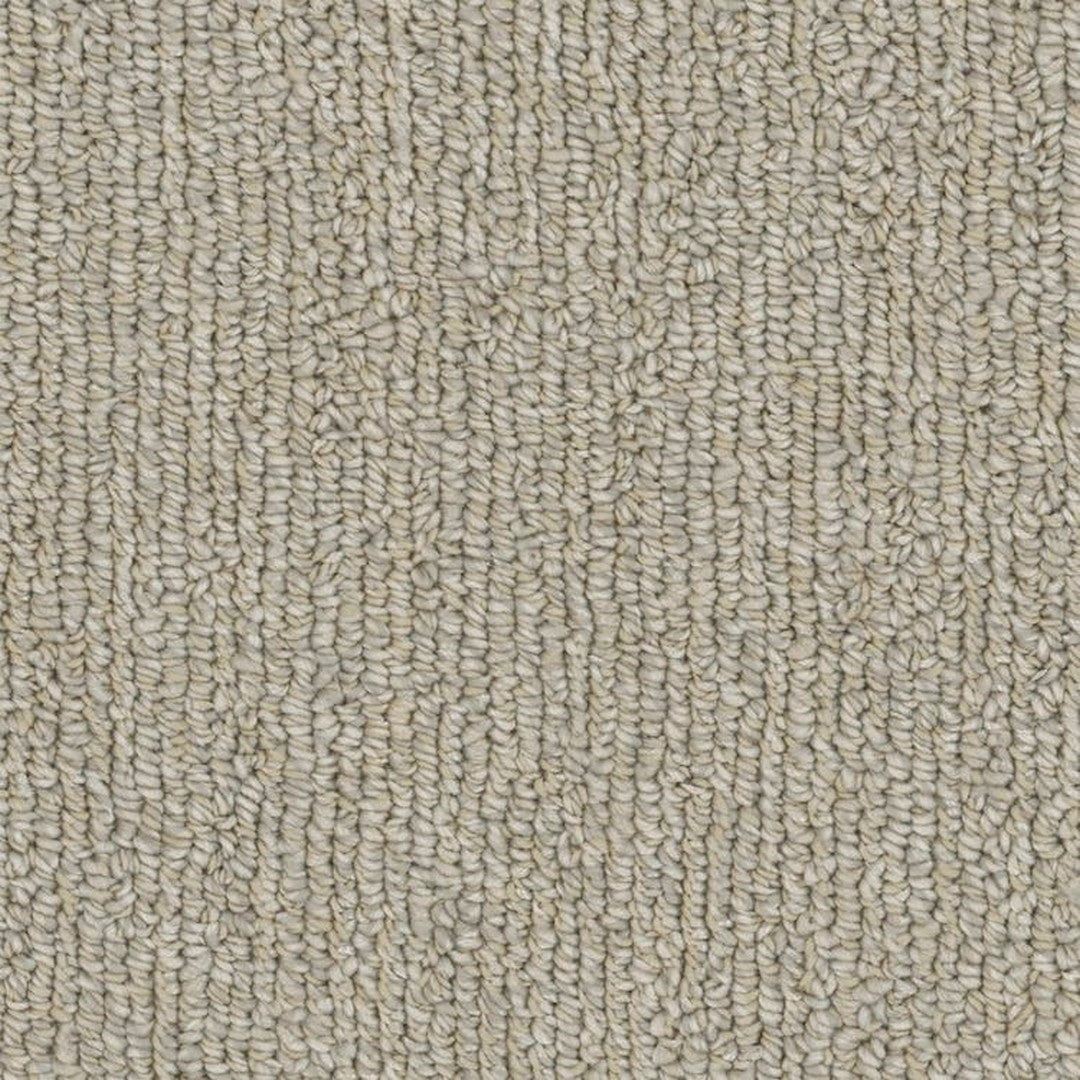 Phenix Microban Warp 12' Polyester Carpet Tile