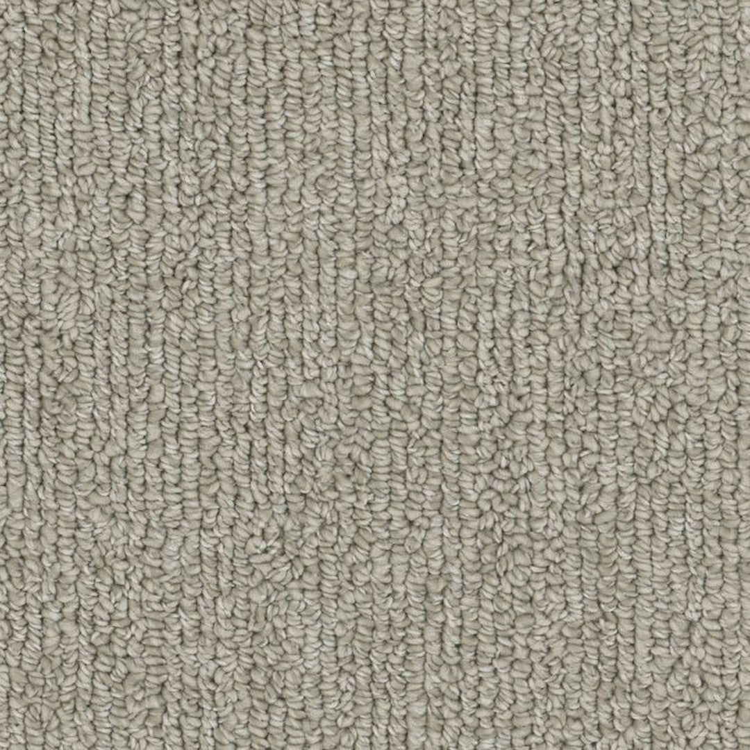 Phenix Microban Warp 12' Polyester Carpet Tile