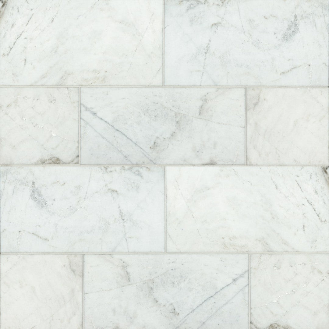 Bedrosians Marble Glorious White 12" x 24" Floor & Wall Honed Tile