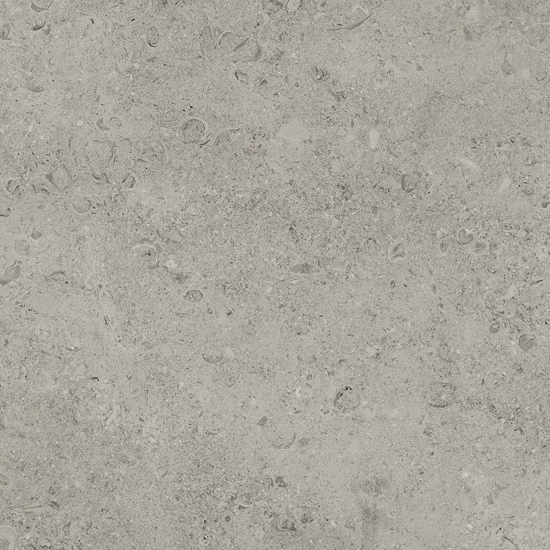 Tesoro Shellstone 24" x 24" Rectified Matte Porcelain Tile
