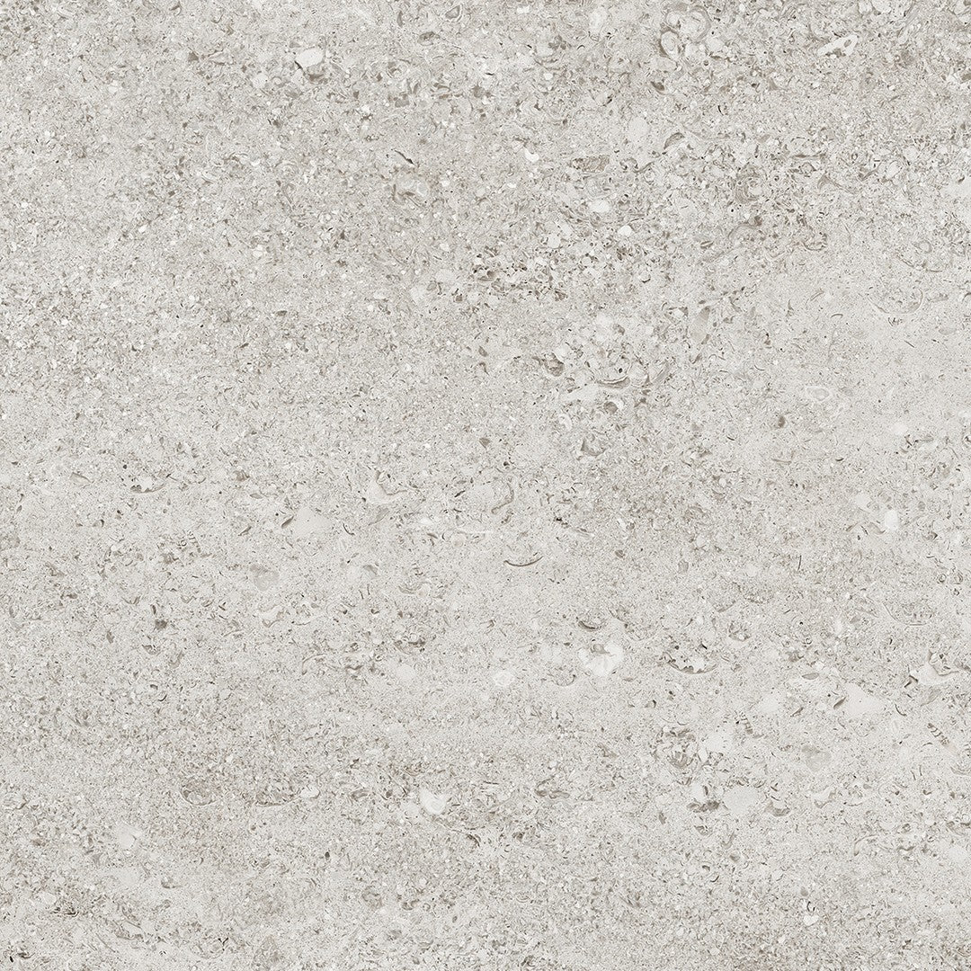Tesoro Shellstone 24" x 24" Rectified Matte Porcelain Tile