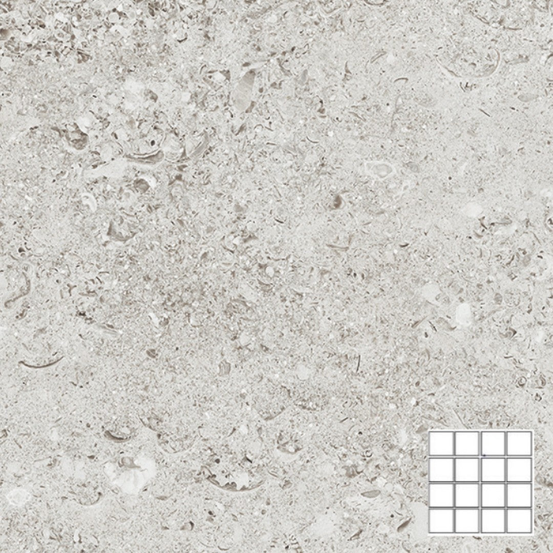 Tesoro Shellstone 12" x 12" Rectified Matte Porcelain 3" Mosaic