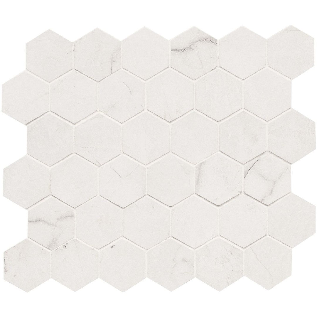 MS International Brighton 12" x 12" Matte 2" Hexagon Porcelain Mosaic