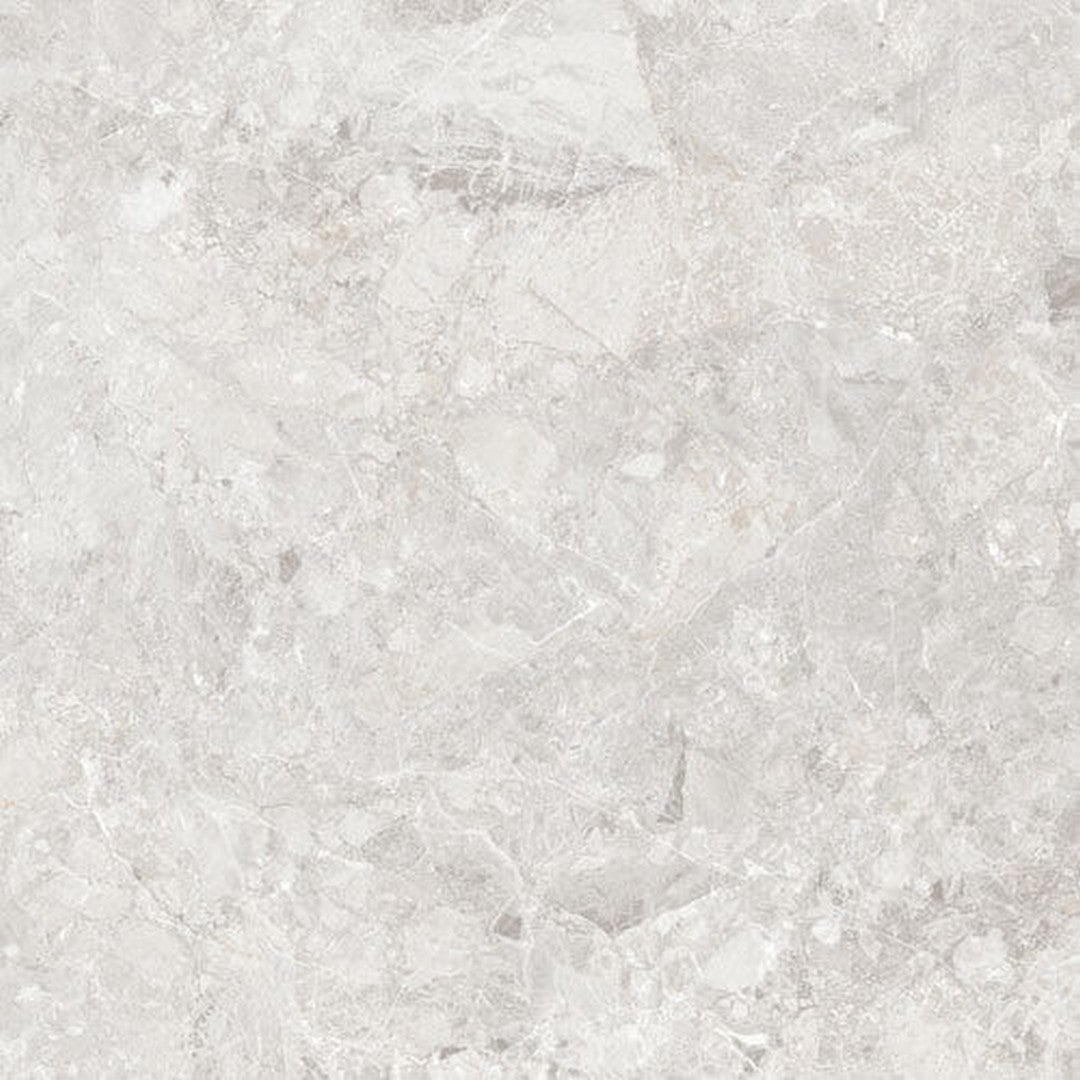 Happy Floors Mun 24" x 48" Rectified Matte Porcelain Tile