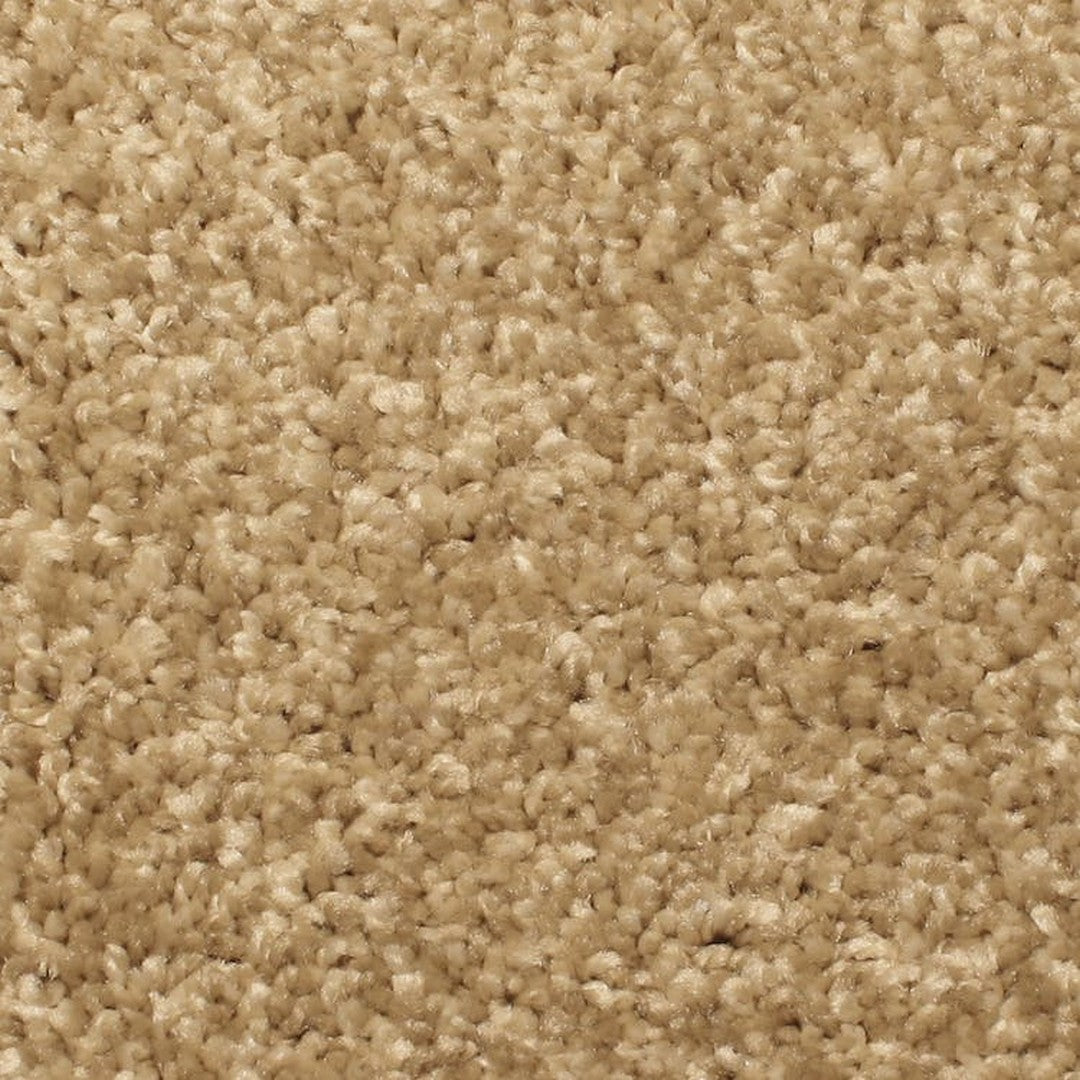 Phenix Microban Solstice 12' Polyester Carpet Tile