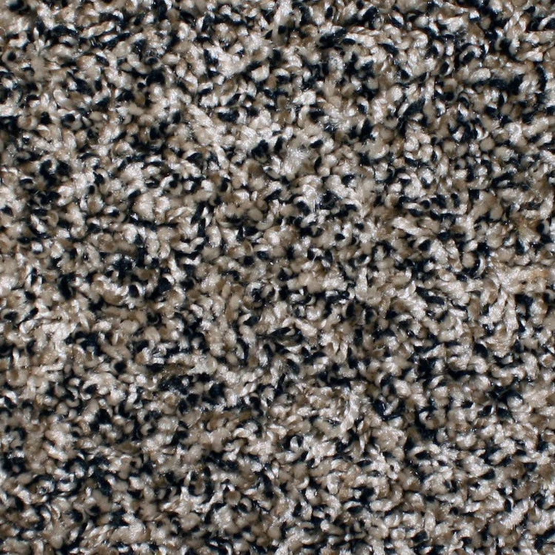 Phenix Microban Chandler Bay 12' Polyester Carpet Tile