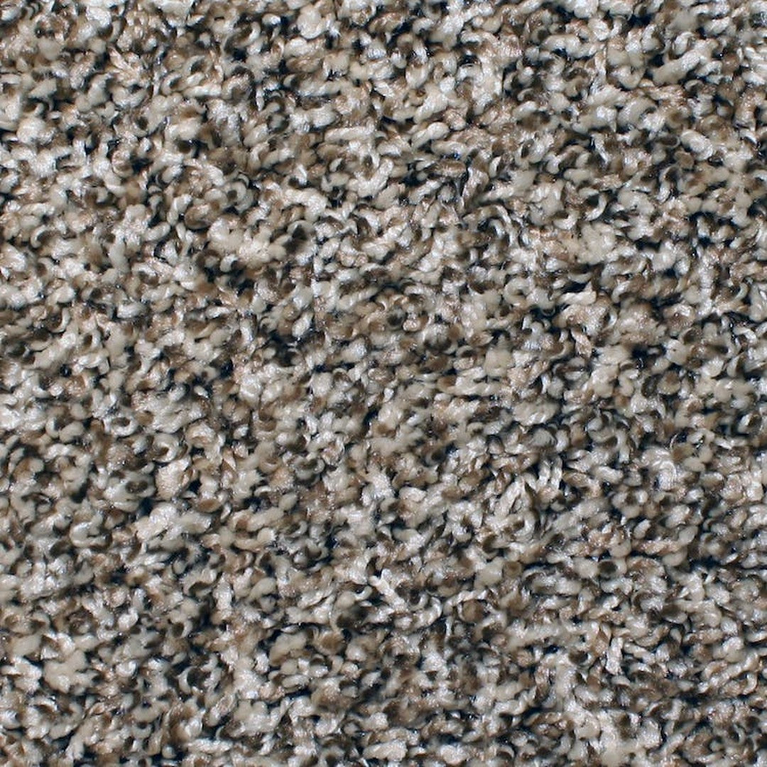 Phenix Microban Chandler Bay 12' Polyester Carpet Tile