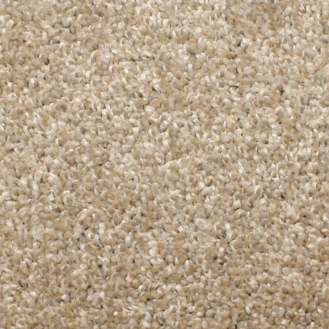 Phenix Microban Touchstone 12' Polyester Carpet Tile