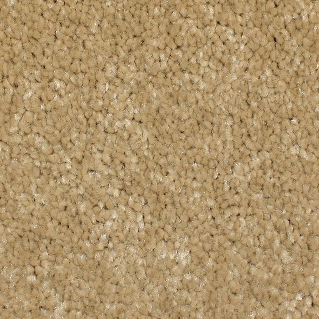 Phenix Microban Panache 12' Polyester Carpet Tile