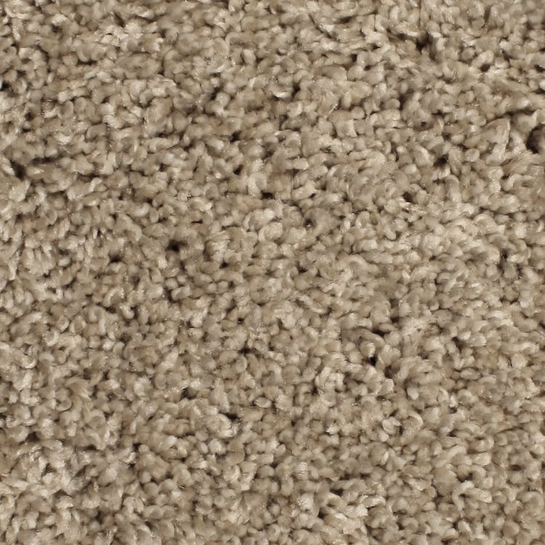 Phenix Microban Paragon 12' Polyester Carpet Tile