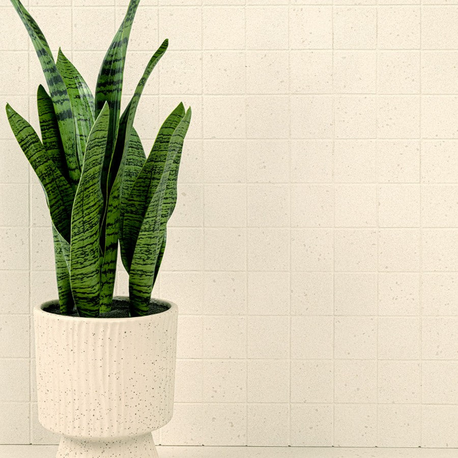 MS-International-Architecta-12-x-12-Rectified-Matte-Porcelain-2-Mosaic-Glacier