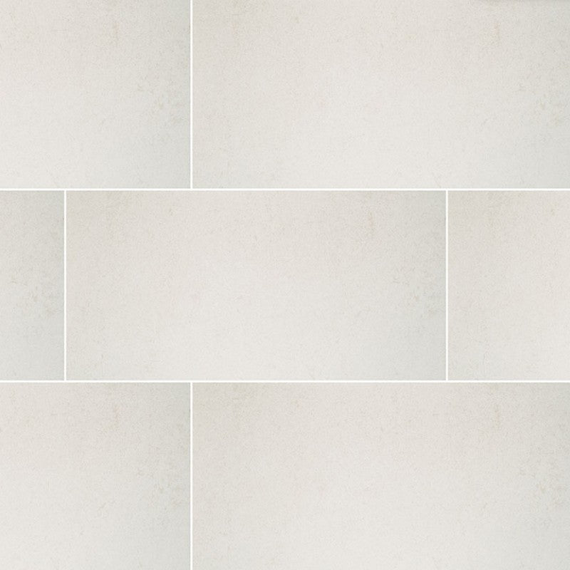 MS International Dimensions 24" x 48" Porcelain Tile