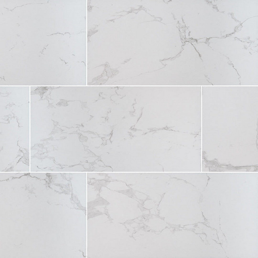 MS International Praia 24" x 48" Matte Porcelain Tile