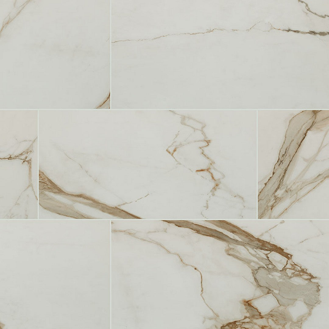 MS International Regallo 12" x 24" Polished Porcelain Tile