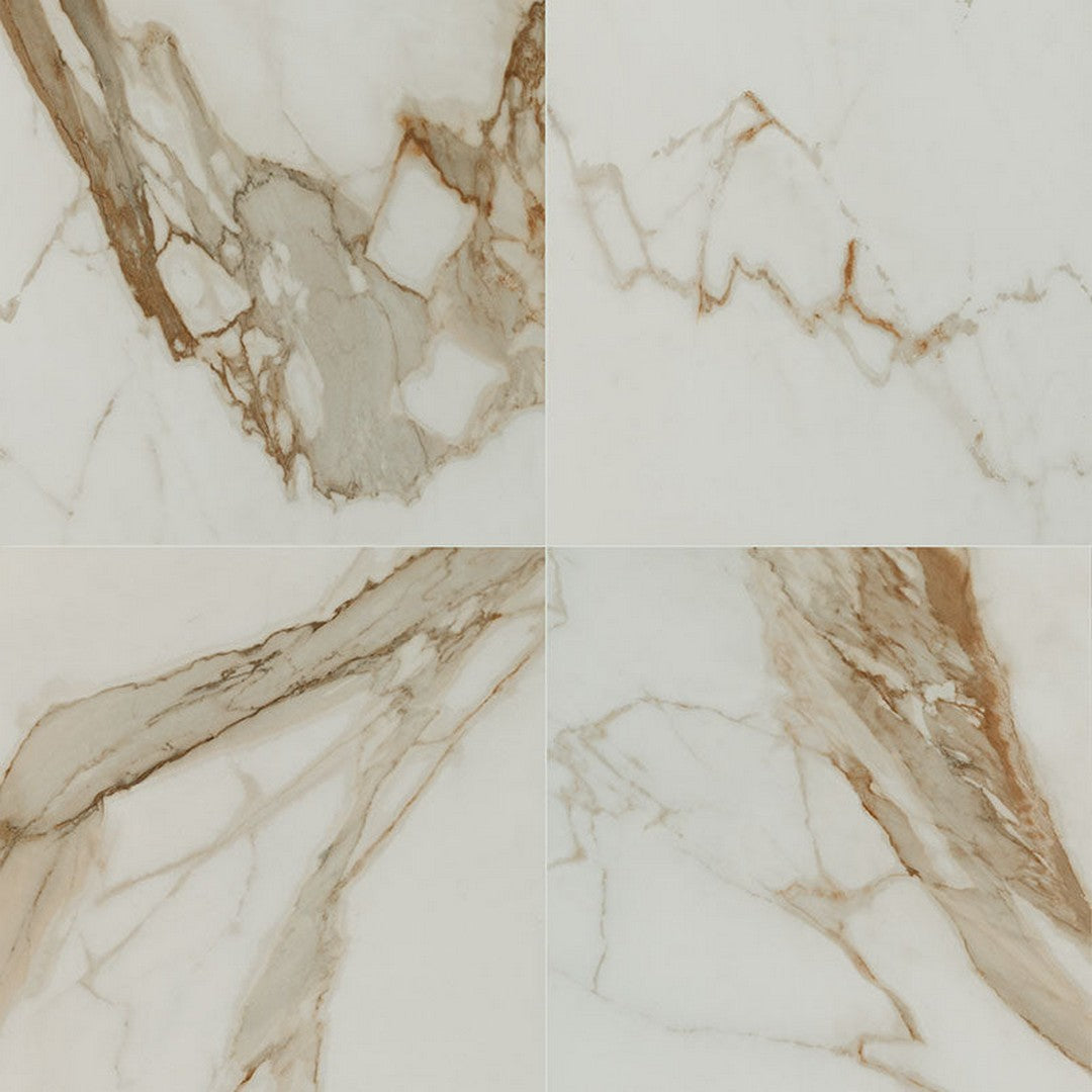 MS International Regallo 24" x 24" Polished Porcelain Tile