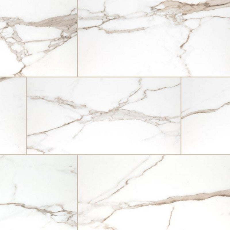 MS International Savoy 24" x 48" Polished Porcelain Tile