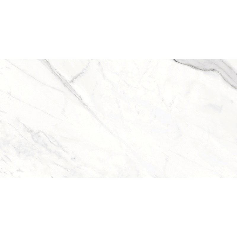 Signature Collection Marmoluna 12" x 24" Rectified Matte Porcelain Tile