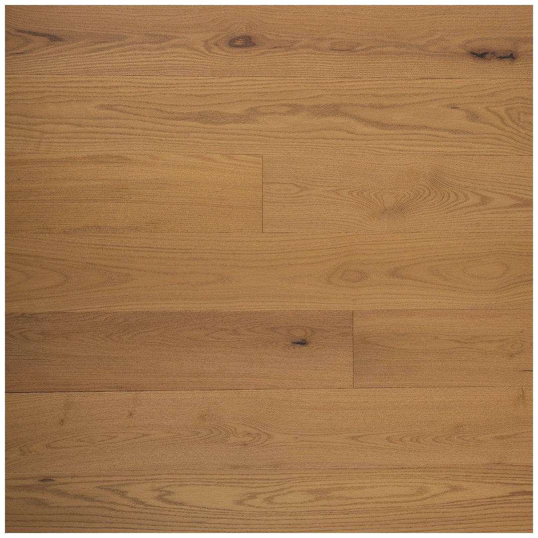 Bedrosians Branche 7.5" x 75" Engineered Hardwood 3mm Plank