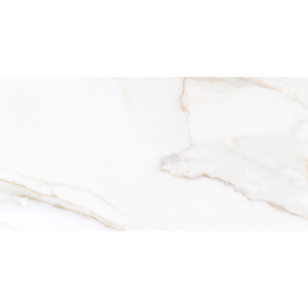 Tesoro Paonazzo 12" x 24" Rectified Matte Porcelain Tile