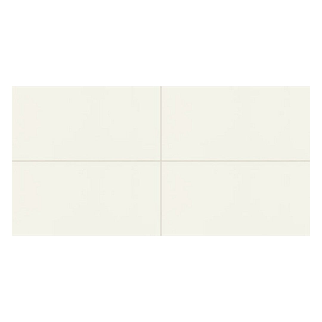 Daltile Pure 12" x 24" Rectified Matte ColorBody Porcelain Floor Tile