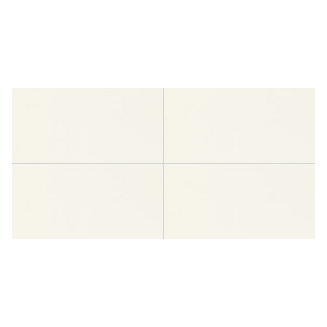 Daltile Pure 12" x 24" Rectified Polished ColorBody Porcelain Floor Tile