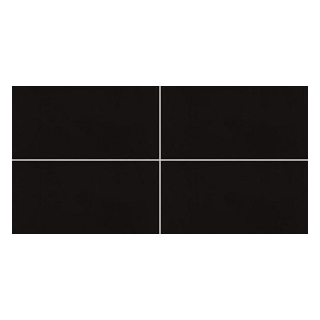 Daltile Pure 12" x 24" Rectified Polished ColorBody Porcelain Floor Tile