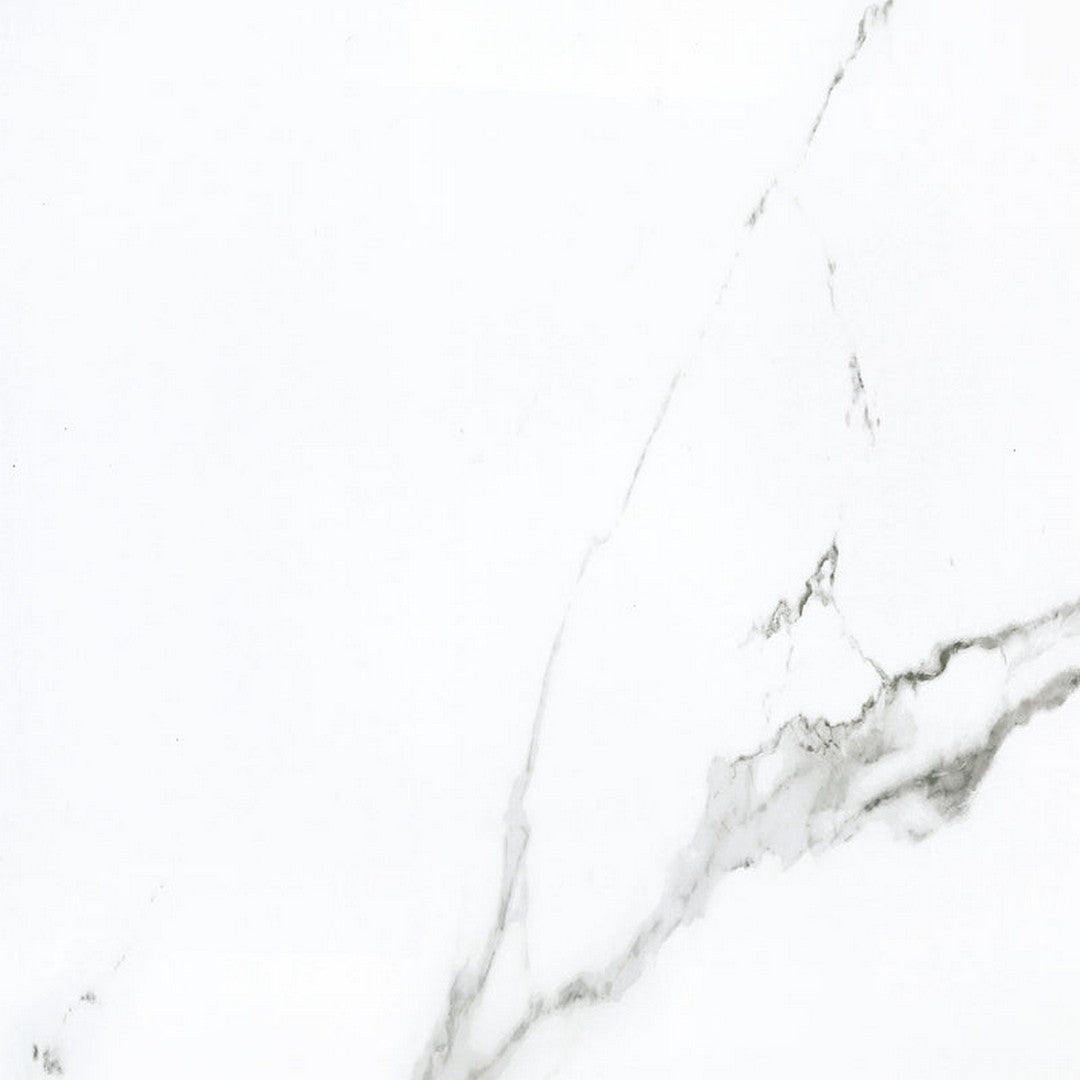 Ottimo Calacatta 24" x 24" Rectified Polished Porcelain Tile