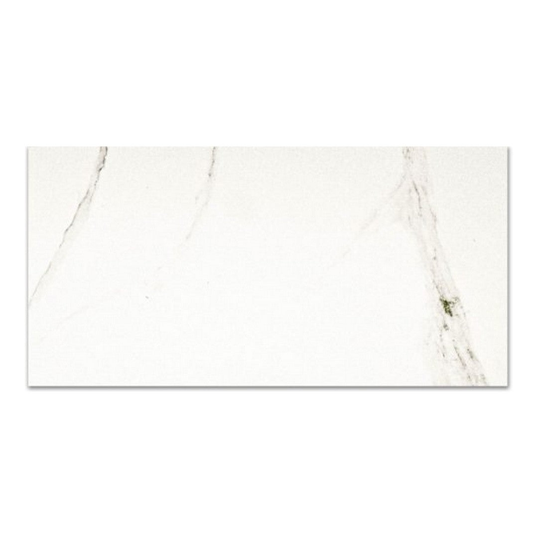 Qualis Ceramica Ardor 12" x 24" Rectified Matte Porcelain Tile