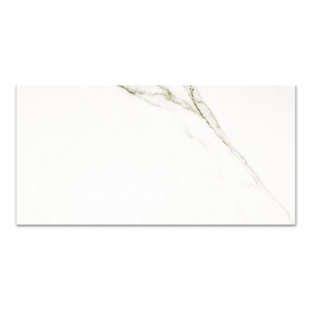 Qualis Ceramica Ardor 12" x 24" Rectified Polished Porcelain Tile