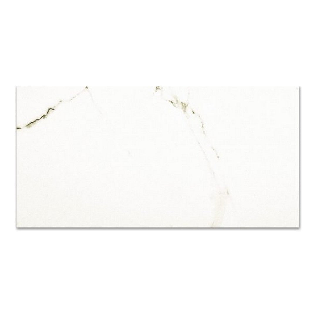 Qualis Ceramica Ardor 16" x 32" Rectified Polished Porcelain Tile