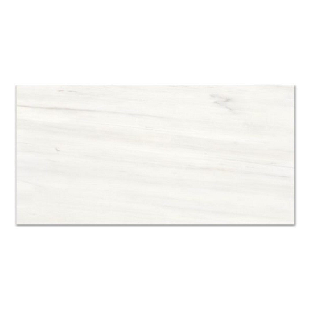 Qualis Ceramica Ardor 16" x 32" Rectified Matte Porcelain Tile