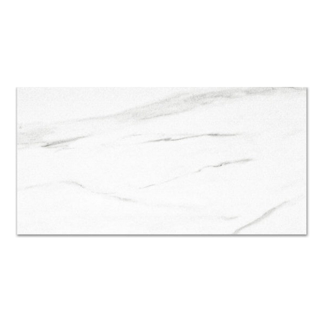 Qualis Ceramica Ardor 12" x 24" Rectified Matte Porcelain Tile