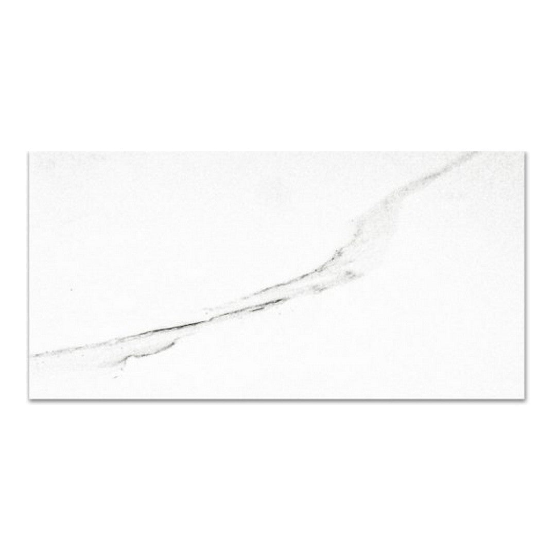Qualis Ceramica Ardor 12" x 24" Rectified Polished Porcelain Tile