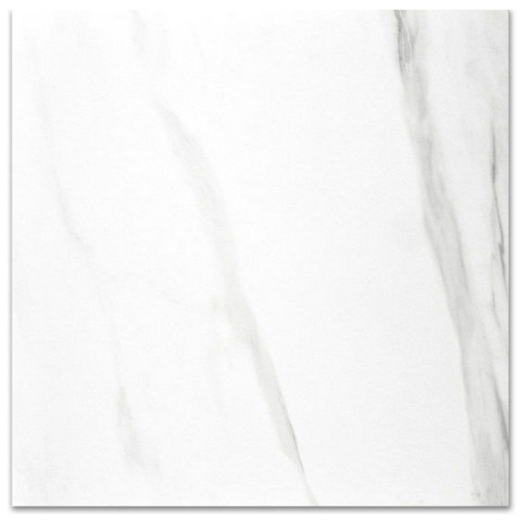 Qualis Ceramica Ardor 24" x 24" Rectified Polished Porcelain Tile