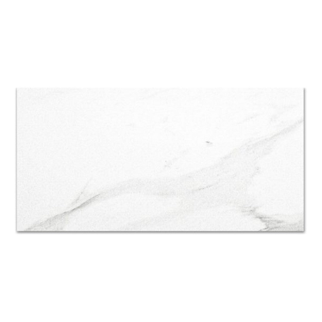 Qualis Ceramica Ardor 16" x 32" Rectified Polished Porcelain Tile